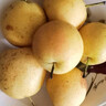 樱慕晴【JD地标认证】正宗辽宁鞍山南果梨东北特产南国梨香水梨新鲜水果 净重5斤【普装小果黄梨】约40枚 实拍图