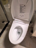 TOTO多功能智能马桶一体式自动感应妇洗坐便器G5Lite 400坑距(01) 实拍图