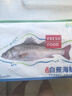 仙泉湖三去白蕉海鲈鱼 400g/条净膛冷冻刺少肉厚特产食材生鲜水产 实拍图