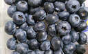 京鲜生 当季云南蓝莓 6盒中果14mm+ 125g/盒 生鲜水果 源头直发 包邮 实拍图