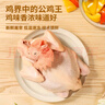 温氏供港农养大公鸡2.8斤 高品质 冷冻土鸡散养走地鸡炒鸡 整鸡 实拍图