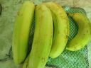 广西新鲜高山香蕉青果自然熟高山薄皮新鲜采摘纯天然软糯香甜 高山香蕉250克（2-3根） 实拍图