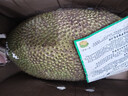 京鲜生 海南菠萝蜜 18-22斤 净重18斤 生鲜水果 源头直发 实拍图