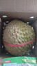 晨木鲜生（chenmuxiansheng）泰国进口金枕头榴莲鲜果 榴莲新鲜生鲜水果 软糯香甜 9-10斤（1-2个） 实拍图
