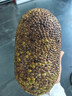 京鲜生 海南菠萝蜜整个 13-17斤 净重13斤生鲜水果 源头直发 实拍图