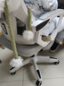 锦汐 电脑椅家用办公椅子靠背人体工学椅学习转椅老板座椅游戏电竞椅 【可后躺】白框灰网 实拍图