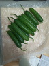 京喜加新鲜无刺水果小黄瓜小青瓜脆甜荷兰脆嫩生吃黄瓜蔬菜 水果黄瓜 2斤 带箱活动 实拍图