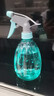 喷壶浇花浇水喷雾器气压式喷水壶家用园艺养花500ml 南瓜喷壶透蓝【1个装】 实拍图