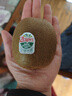 佳沛（zespri）绿奇异果 优选大果12粒单果约113-135g  水果 猕猴桃 实拍图