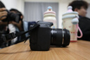 佳能rf24-105镜头 专微全画幅拆机镜头打鸟银圈“狗头” 扫街镜头适用EOS R RP R5 R6 RF24-105mm F4-7.1 IS STM拆 标配【不含滤镜，建议购买套餐】 实拍图