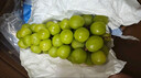 京鲜生国产阳光玫瑰净重4.5斤单果13g 葡萄/提子生鲜水果源头直发包邮 实拍图