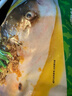 鲜喜爱藤椒鱼头2.2斤（鱼头+料包）千岛湖 鲢鱼头 生鲜鱼类 海鲜水产 实拍图
