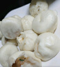 皇家小虎老面小笼包200g*7袋(鲜肉3+香辣2+梅干菜2)嵊州风味包子 源头直发 实拍图