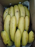 广西甄选高山香蕉新鲜当季水果青香蕉自然熟普通惊喜香甜软糯礼盒 香蕉青蕉发货 净重 9斤 实拍图