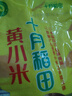 十月稻田 黄小米1kg 原粮产自赤峰市敖汉旗 内蒙古 敖汉小米 小米粥 实拍图