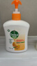 滴露（Dettol）洗手液柑橘500g瓶 健康抑菌消毒清爽 儿童家庭非补充装替换 实拍图