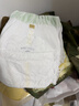 babycare金山茶花婴儿拉拉裤mini装XL码18片(12-17kg)尿不湿【新老混发】 实拍图