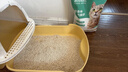 凯锐思豆腐猫砂除味猫沙豆腐砂豆腐渣低粉尘大颗粒结团吸水可冲厕所 【性价比豆腐砂8包】共36.8斤 实拍图