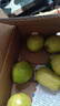 京觅福建红心芭乐 番石榴 应季 低糖孕妇水果 单果150g 净重3斤装 实拍图