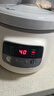 小熊（Bear）电炖锅 电炖盅 煲汤锅 炖汤锅 白瓷炖锅3-4个人用陶瓷全自动煮粥锅 直炖电炖锅 DDG-D30H5 3L 实拍图