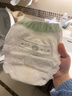 babycare金山茶花拉拉裤XL34片(12-17kg)婴儿尿不湿超薄透气新生柔花苞裤 实拍图