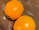 京鲜生 湖北秭归纽荷尔脐橙8斤 单果150g应季水果 源头直发包邮 实拍图