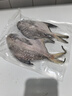 鲜到鲜得 东海银鲳鱼400g(2条装) 生鲜鱼类 海鲜水产 海鱼 实拍图