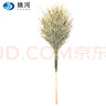 姚河竹扫把手工竹扫帚环卫学校物业车间扫雪扫沙环卫竹竿把4斤五把装 实拍图