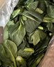 辰实【顺丰】青菜新鲜 苏州青 苏北矮脚蔬菜 菜心油菜苔 5斤 苏州青菜（推荐） 晒单实拍图