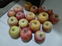 桃李村正宗天然冰糖心苹果红富士新鲜水果时令节日礼盒送礼苹果整箱 带箱10斤 净重8.5斤单果 75-80mm 实拍图