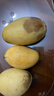 【双十一热卖】玉芒水果芒果新鲜上市 带箱2斤【单果300g+】 实拍图