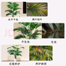 花沃里仿真散尾葵盆栽植物装饰客厅落地室内大型摆件树仿生假盆栽绿植花 实拍图