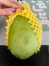 京鲜生 广西大青芒 大果4.5斤装 单果400g起 生鲜水果源头百发 实拍图