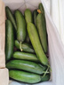 山东寿光水果黄瓜生吃脆新鲜荷兰青瓜当季无刺小黄瓜源头直发 精品水果黄瓜净重 4.5斤 实拍图