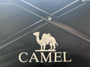 CAMEL露营小拉车营地车折叠购物车买菜溜娃遛狗车拉杆拖推车家用取快递 实拍图