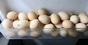 京鲜生可生食标准鲜鸡蛋30枚礼盒装3斤 源头直发 实拍图