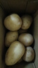 新鲜土豆现挖现发山东正宗黄心黄肉当季蔬菜马铃薯洋芋薯条3两起 山东土豆带箱2斤 中大果 实拍图