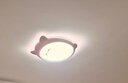 雷士（NVC）LED照明吸顶灯儿童房卧室可爱全光谱护眼灯卡通龙猫粉色包安装 实拍图