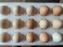 京鲜生【每日鲜蛋】无抗谷物鲜鸡蛋15枚/盒 1.5斤 源头直发 实拍图