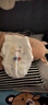 好奇（Huggies）金装纸尿裤XL108片(12-17kg)尿不湿【速干不易红】 实拍图