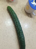 长黄瓜约600g 实拍图