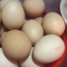 京鲜生 无抗保洁鲜鸡蛋30枚/盒 健康轻食 礼盒送礼 1.5kg/盒 源头直发 实拍图