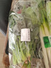 大菠菜300g 实拍图