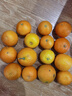 春福乐正宗四川眉山爱媛38号果冻橙 当季现摘现发新鲜水果柑橘蜜桔子 5斤优选装【单果55-70mm】净重4.5斤 实拍图