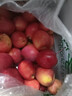 映棠 东北鸡心果5斤【顺丰快递—多地次日达】海棠果玫瑰小苹果礼盒装 3斤大果【人工精选】 现摘现发 实拍图