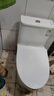九牧（JOMOO）11173-2-1/31KD-3大力神家用马桶虹吸抗菌节水洁具305坑距 实拍图