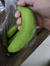高山香蕉广西产地直发薄皮青果软糯香甜自然熟当季新鲜采摘纯天然 高山香蕉3斤 实拍图