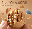 楼兰蜜语 薄皮大核桃500g/袋*2 新疆纸皮核桃 新二核桃零食 果炒货  实拍图
