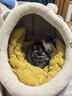 喵仙儿猫窝四季通用半封闭式狗窝蒙古包猫屋保暖小型犬宠物用品 Ｍ码 实拍图
