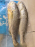 海名威 冷冻黄花鱼700g/2条 宁德大黄鱼地标 海鲜水产 生鲜鱼类 海鱼 实拍图